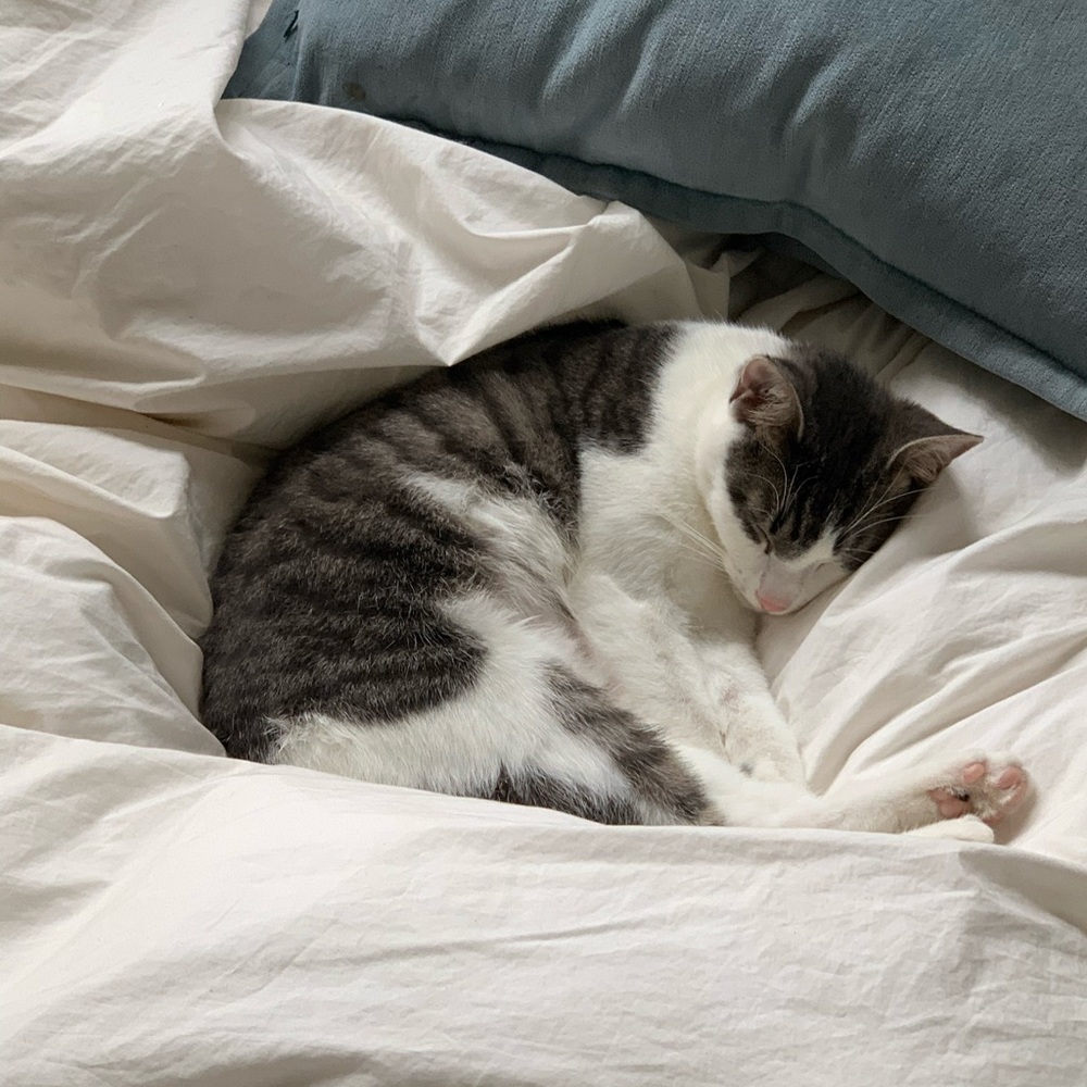 Meet your Posher, Chloë